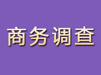 雄县商务调查